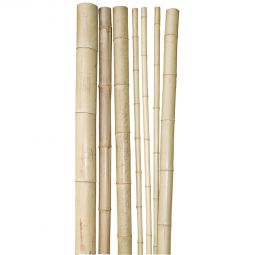 Windhager Bambus-Pflanzstab 250x4,5-6 cm 4