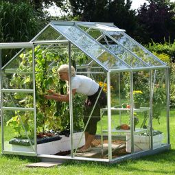 Vitavia Gewächshaus Venus Tomatenhaus Silber 3