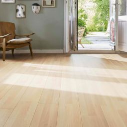 HARO Laminat Sonderedition NKL31 TC 5
