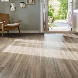 HARO Laminat Sonderedition NKL31 TC 5