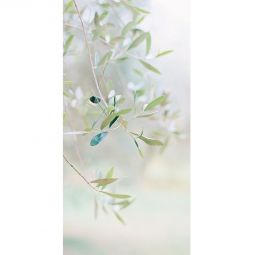 Winwall Duschrückwand Aluverbund Olive 3