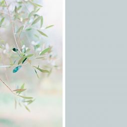 Winwall Duschrückwand Aluverbund Olive 4