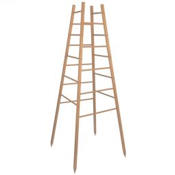 Windhager Holz-Rankhilfe Pyramide 50x50x145 cm Holz-Rankpyramide für kletterfreudige Gemüse- und Zierpflanzen
