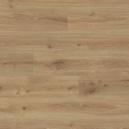 HARO Laminat Landhausdiele Sonderedition NKL31 TC Eiche Olbia strukturiert matt 1282x193x7 mm, mit Klicksystem Top Connect 5G, wahlweise mit Dämmunterlage

