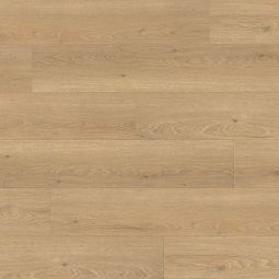 HARO Laminat Landhausdiele TRITTY 100 TC 4V Eiche Flavia puro authentic Zeitloser Laminatboden im Format 1282x193 mm mit ruhigem Eichedekor, matter Oberfläche, 4-seitiger Fase und optionaler Schalldämmung