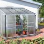 Vitavia Anlehngewächshaus Osiris Tomatenhaus Silber