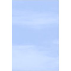 Wellker Sichtschutzzaun 