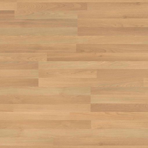 HARO Laminat Sonderedition NKL31 TC 2