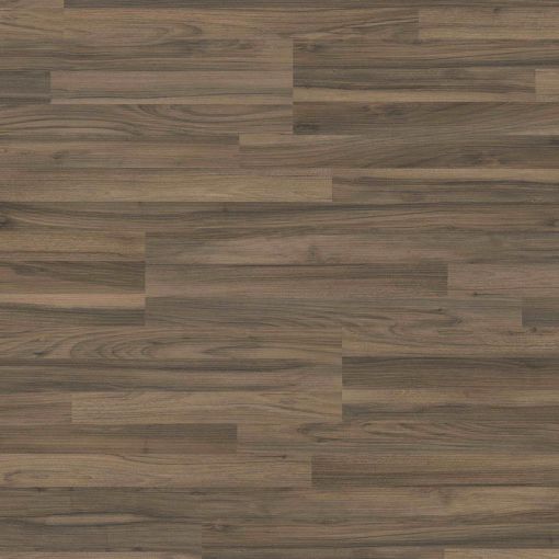 HARO Laminat Sonderedition NKL31 TC 2