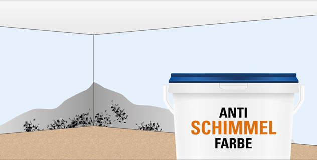 kalkputz gegen schimmel kalkputz gegen schimmel